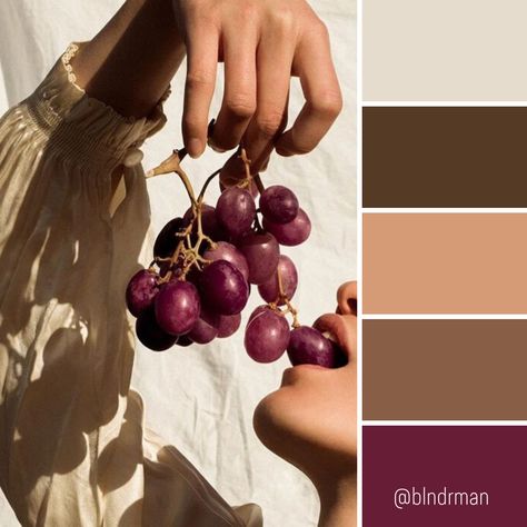 Coral Color Aesthetic, Wine Colour Palette, Wine Color Palette, Maroon Color Palette, Burgundy Colour Palette, Chocolate Palette, Marsala Color, Colour Blocking Fashion, Fall Palette