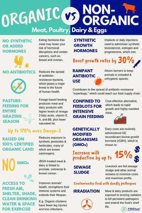 6 Huge Differences Between Organic And Non-Organic Meat, Poultry, Dairy, & Eggs Egg Farming, Organic Protein Powder, Organic Molecules, Organic Meat, Organic Nails, Organic Protein, Farm Eggs, Organic Eggs, Organic Lifestyle