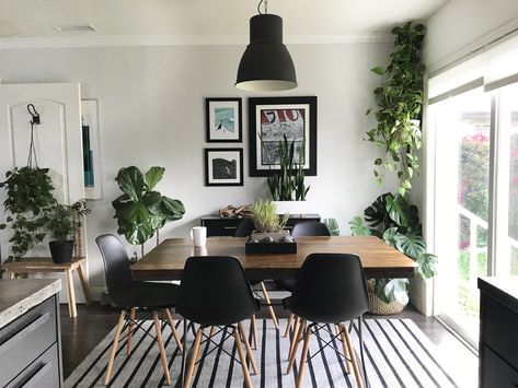 A California's Home's Black, White & (Leafy) Green Remodel — House Call Black White Rooms, Home Addition Plans, Green Apartment, White Apartment, Black And White Living Room, Apartment Aesthetic, Black And White Decor, Green Home Decor, Living Room Green