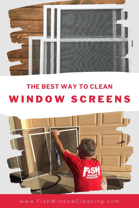 How to clean window screens: how often, the best way, special tools, etc. How To Wash Window Screens, How To Clean Screen Doors, Window Screen Cleaning, Best Way To Clean Window Screens, Best Way To Clean Outdoor Windows, Cleaning Screens Window, How To Clean Screens, Clean Screens Window, How To Clean Screens Window