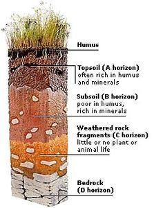 more soil profile Csm Illustration, David Montgomery, Labyrinth Garden, Science Models, 1 Percent, 6th Grade Science, Plant Science, Soil Layers, Soil Health