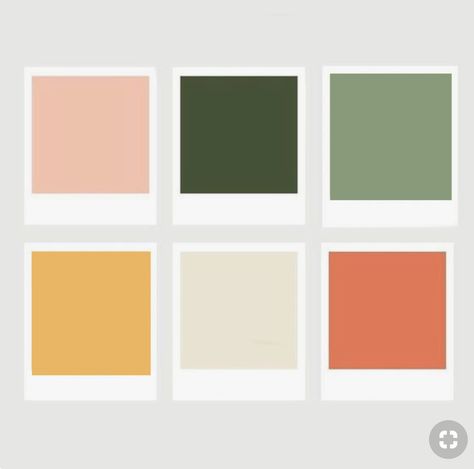 #design #graphicdesign #color Hippie Color Palette, Color Scheme Living Room, Peach Color Schemes, Peach Color Palettes, Peach Paint, Pantone Colour Palettes, Peach Colour, Business Colors, Color Schemes Colour Palettes