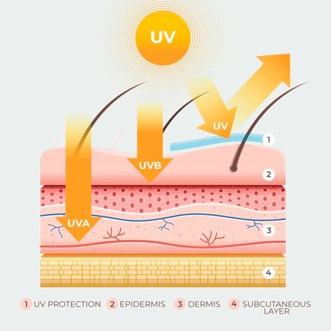 Cosmetology, Sun Skin Care, Massage Images, Online Scrapbook, Vector Infographic, Summer Skincare, Body Skin Care Routine, Skin Protection, Body Skin