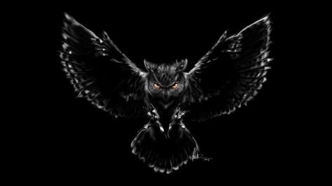 #Owl #Scary Owl Wallpaper Iphone, Scary Owl, Owl Background, Owl Tattoo Drawings, Vogel Tattoo, Cute Owls Wallpaper, Owl Artwork, Black Owl, Owl Wallpaper