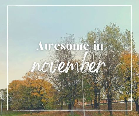 This month has been full of challenges and joys. As always, we're looking for what's awesome in November. Turkey dinner, anyone? The post Awesome in November appeared first on Awesome on 20. Chocolate Chess Pie, Mini Corn Dogs, Cornish Pasties, Chocolate Banana Muffins, Black Pudding, Dinner And A Movie, Turkey Dinner, Corn Dogs, Banana Muffins