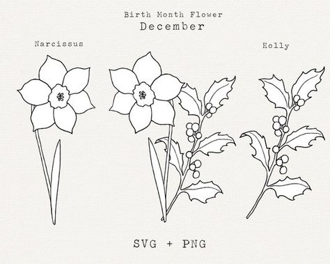 Holly SVG Narcissus Flower SVG December Birth Month Flowers - Etsy Narcissus And Holly Tattoo, December Birth Flower Tattoo, Narcissus Tattoo, Holly Svg, Narcissus Flower Tattoos, December Flower, Holly Flower, Holly Branch, December Birth Flower