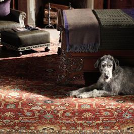 rug Ralph Lauren Home Living Room, Ralph Lauren Interiors, Foyer Rugs, Rugs Direct, Carpet Ideas, Royal City, English Decor, Ralph Lauren Style, Ralph Lauren Kids