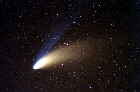 Hale-Bopp comet Hale Bopp Comet, Xmas Jokes, Leslie David, The Comet, Space Aliens, The Final Frontier, Interesting History, To Infinity And Beyond, Space Theme