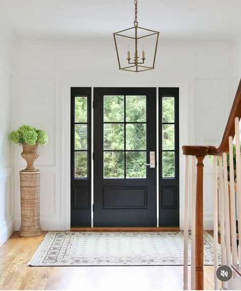 Black Painted Doors, Staircase Molding, Model Home Decorating, 90s Home Decor, Shiplap Siding, Painted Interior Doors, Home Front Door, Steel Front Door, Fiberglass Front Door