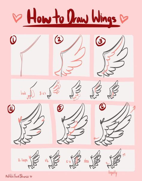 How To Draw Wings, Draw Wings, الفن الرقمي, Wings Drawing, Tools Drawing, Drawing Things, Creative Drawing Prompts, Drawing Help, Drawing Bases