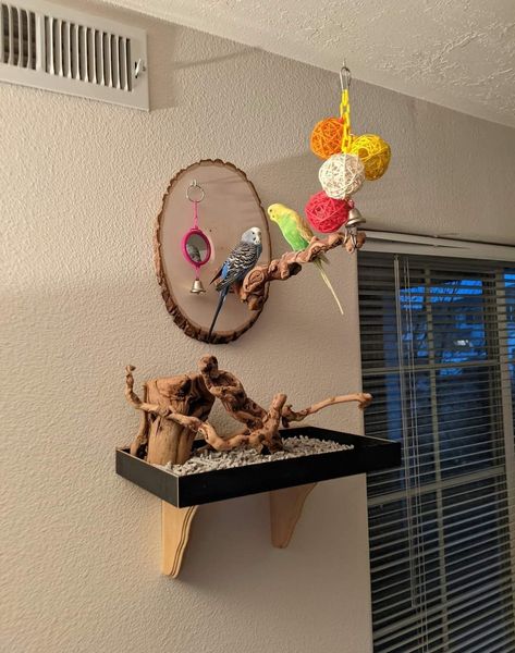 Bird Cage In Bedroom, Parakeet Playground Diy, Diy Parrot Stand, Parakeet Cage Ideas Diy, Bird Cage Ideas Diy, Parrot Toys Diy, Bird Room Ideas, Bird Play Gym, Homemade Bird Toys