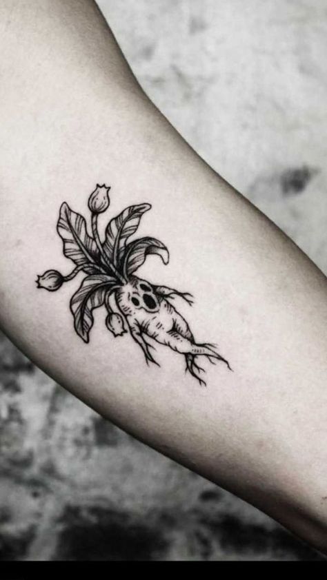 Dark Plant Tattoo Ideas, Mossy Skull Tattoo, Goth Garden Tattoo, Flowers With Skulls Tattoo, Filler Tattoo Ideas Gap Nature, Goth Plant Tattoo, Gothic Plant Tattoo, Goth Flowers Tattoo, Spooky Garden Tattoo