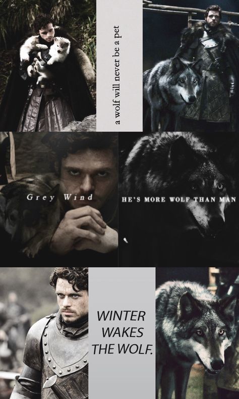 Robb Stark Margaery Tyrell, Rob Stark Aesthetic, House Of Stark Aesthetic, House Stark Aesthetic Wallpaper, Game Of Thrones Aesthetic Stark, House Stark Wallpapers, Robb Stark Wallpaper, House Stark Aesthetic, Winterfell Aesthetic