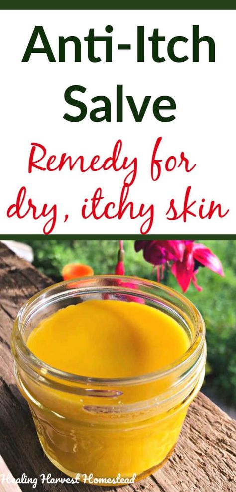 Have itchy skin? Here is a natural herbal salve that is a great remedy for itchy skin caused by dryness, rashes, bug bites, etc. It's an all purpose soothing salve for itching, inflamed skin. This recipe for herbal healing skin salve is easy to make and meant to soothe irritated and itchy, scaly skin. #salve #homeremedy #itchy #skin #skinsalve #itchyskinsalve #diy #howtomake #recipe #skincare #homemade #handmade #healingharvesthomestead Dandelion Salve, Itchy Skin Remedy, Rashes Remedies, Salve Recipes, Herbal Salves, Itching Skin, Skin Natural Remedies, Anti Itch, Dry Itchy Skin