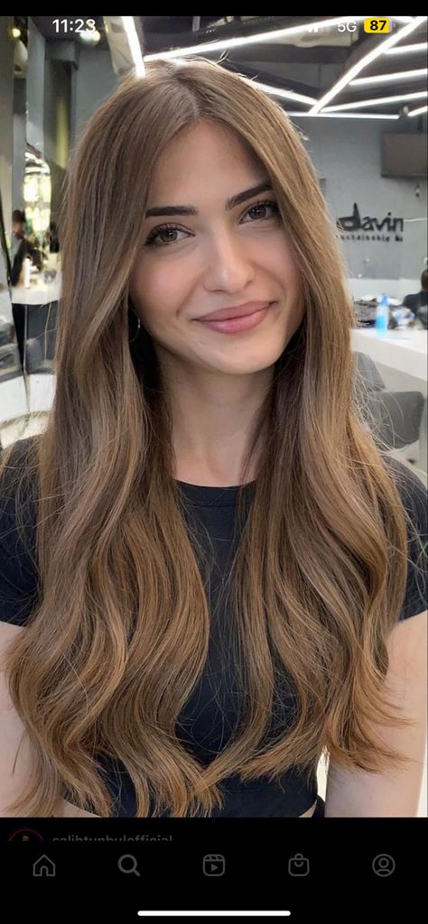 Light Honey Brown Hair Balayage, Light Brown Hair Dark Eyebrows, Blonde Hair On Indian Skin, Cabello Color Chocolate Claro, Golden Apricot Hair Color, Light Honey Brown Hair Color Caramel, Honey Brown Hair Balayage, Hair Color For Fair Skin Brown Eyes, Light Brown Hair Caramel