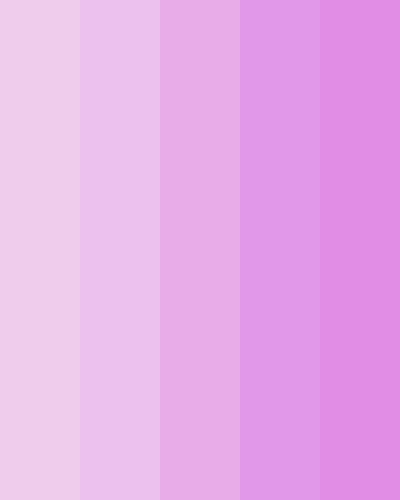 Rose Pink and Lilac Lilac And Pink Color Palette, Lilac Pink Aesthetic, Lilac Color Scheme, Aesthetic Boarders, Lilac Color Palette, Aesthetic Boarders Designs, Boarders Designs, Badminton Pictures, Hexadecimal Color