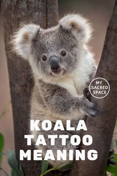 Minimalist Koala Tattoo, Koala Tattoo Minimalist, Koala Tattoo Cute, Koala Bear Tattoo, Koala Tattoo Ideas, Back Tattoo Women Upper, Spirit Animal Quotes, Bear Tattoo Meaning, Koala Tattoo