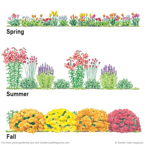 Spring Start by planting a colorful mix of tulips (Tulipa spp. and hybrids).    Summer Lilies (Lilium hybrids), drumstick allium (Allium sph... Drumstick Allium, Perennial Garden Plans, Garden Mum, Longfield Gardens, Flower Garden Plans, Diy Robot, Garden Design Layout, Flower Garden Design, Garden Design Plans