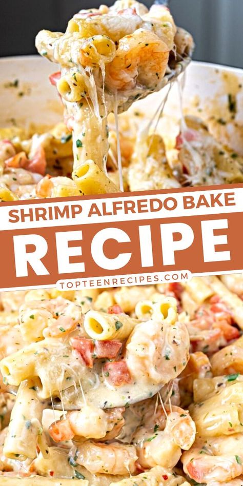 Shrimp Alfredo Shells, Shrimp Pasta Dishes Recipes, Old Bay Shrimp Alfredo, Easy Seafood Alfredo, Dump And Bake Shrimp Alfredo, Baked Shrimp Pasta Recipes Oven, Shrimp Baked Ziti, Chicken Shrimp Broccoli Alfredo, Shrimp Alfredo Baked Pasta