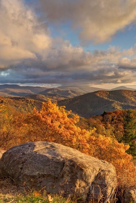 Virginia In The Fall, Fall In Virginia, Tom Core, Virginia Aesthetic, Fall Virginia, Cycle Journal, Blue Ridge Parkway Fall, Fall Hike, Fall Scenes