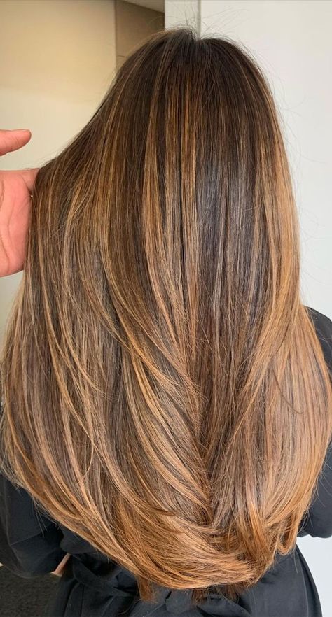 Balayage, Golden Brown Hair Honey Balayage, Brown Golden Hair, Light Brown Hair Styles, Light Brown Hair Shades, Brown Hair Styles, Gorgeous Bridal Makeup, Light Brunette Hair, Brown Hair Inspiration