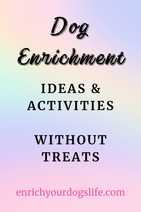 Dog Enrichment Ideas and Activities without Treats Enrich Your Dog's Life Dog Enrichment Activities, Doggie Daycare Activities, Fun Activities For Dogs, Dog Daycare Activities, Puppy Enrichment Ideas, Dog Enrichment Ideas Diy, Dog Enrichment Ideas, Activities For Dogs, Dog Puzzle Toys