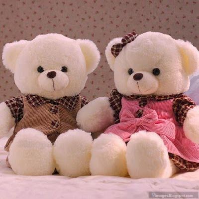 teddy 98 | Do Follow Me टेडी बियर, Cute Teddy Bear Pics, Teddy Bear Day, Teddy Bear Images, Teddy Day, Teddy Bear Wallpaper, Giant Teddy, White Teddy Bear, Bear Images