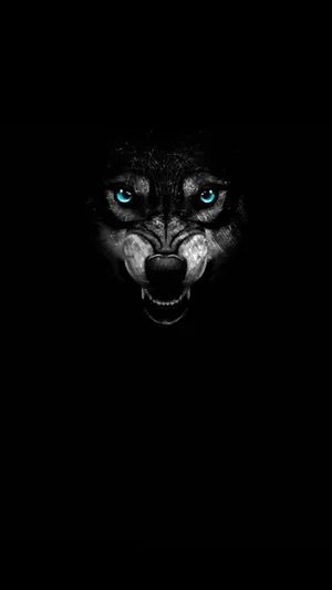 Wolf Black Background, Black Wolf Wallpaper, Wolf With Blue Eyes, Detailed Tattoos, Dog Wallpaper Iphone, Wolf Images, Wolf Painting, Glow Stars, Animal Illustration Art