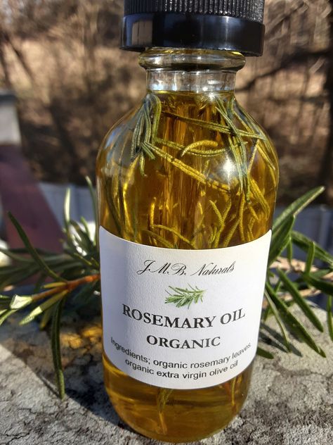 Organic Rosemary Oil| Infused Oil| Hair Growth Oil Rosemary Oil Aesthetic, Rosemary Infused Oil, Hair Oil Packaging, Herbal Body Oil, Herbal Hair Oil, Hair Oiling, Rosemary Hair Growth, Rosemary Hair, Rosemary Oil For Hair