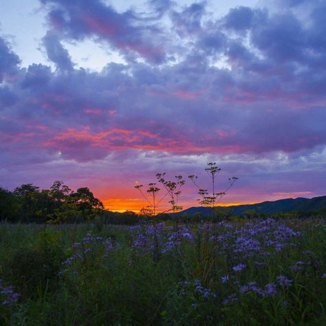 Pretty Landscapes, Pretty Sky, Pretty Photos, Sunset Pictures, Alam Yang Indah, Nature Aesthetic, Pretty Places, Sky Aesthetic, الرسومات اللطيفة