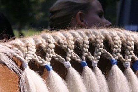 Horse Braiding Mane, Horse Mane Hairstyles, Hairstyles For Horses Mane, Horse Grooming Tools, Mane Braids For Horses, Horse Hairstyles Ideas, Horse Mane Ideas, Horse Mane Styles, Mane Braiding