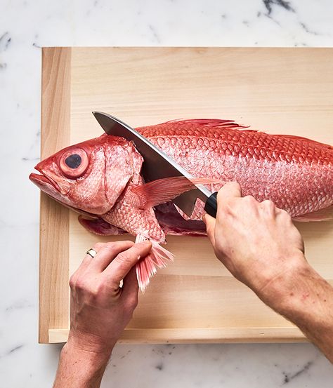 Learn how to fillet fish at home with this step-by-step guide from Josh Niland, chef and owner of Sydney seafood restaurant Saint Peter. For serious quality fish, there's no substitute for buying fish whole and filleting them yourself, according to Josh. Josh Niland, Best Knots, Cleaning Fish, Saint Peter, How To Cook Fish, Buy Fish, Dull Colors, Fish And Meat, Small Fish