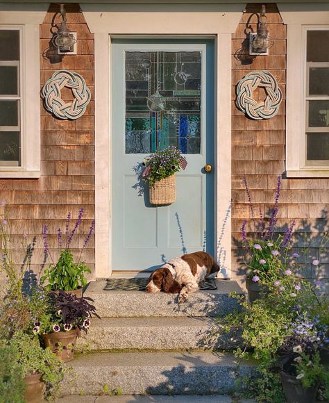 Maine Coastal Cottage, Maine Cottage Interiors, Ohio House, Fishermans Cottage, Maine Living, Maine Cottage, Flower Subscription, Coastal Lifestyle, Mid Summer