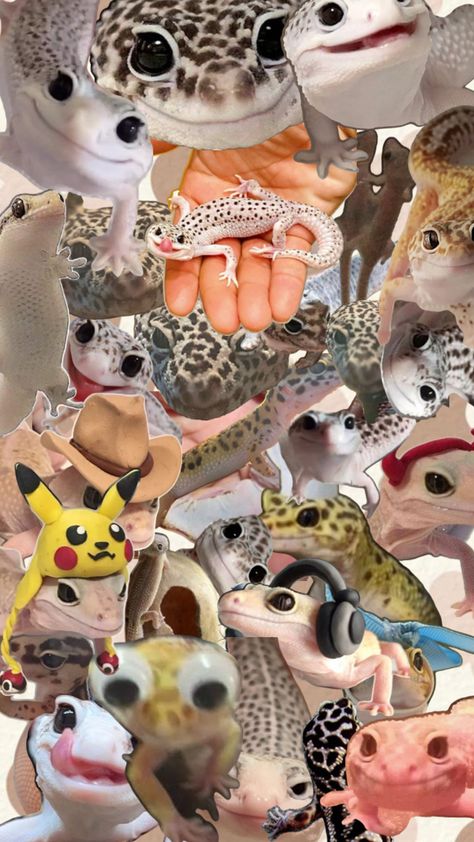 Gecko Wallpaper, Baby Animals Pictures, Gecko, Animal Pictures, Baby Animals, Animals