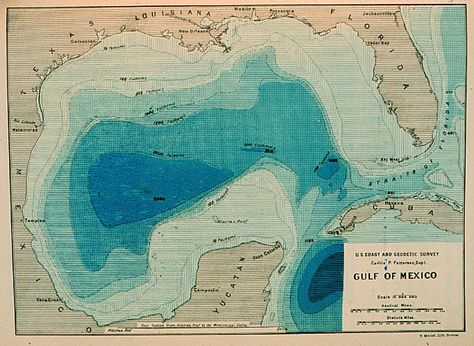 first realistic bathymetric map of any oceanic basin in the Gulf of Mexico -- PBN Silver Surfer Comic, Sea Map, Mexico Map, Contour Map, Ocean Shores, Nautical Chart, Map Decor, Ocean Conservation, Vintage Nautical