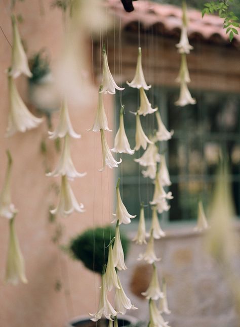 White Plants Aesthetic, Wedding White Aesthetic, White Hanging Flowers, Hanging Plants Wedding, Hanging Florals, Wedding Garden, Floral Installation, Hanging Flowers Wedding, Chuppah Flowers