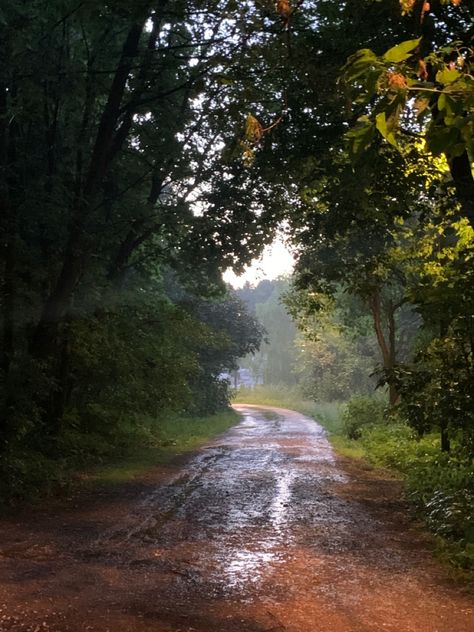 Rainy Forest, Short Person, Dirt Roads, Cottage Life, Dirt Road, Dirt Track, Country Road, Cover Art, Beautiful Nature