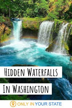 Want to hear a secret? There's an incredibly beautiful waterfall hidden in Washington State. The trail is short, but occasionally steep. Still, it's worth it to see this gem. | Washington Hiking | Trails | Short Hikes | Waterfalls Hikes | Columbia River Gorge | Kayaking | Near Oregon Only In Your State Washington, Hidden Gems In Washington State, Waterfalls Washington State, Things To See In Washington State, Washington State Vacation Ideas, Waterfalls In Washington State, Washington Hikes Pacific Northwest, Hiking In Washington State, Washington State Summer