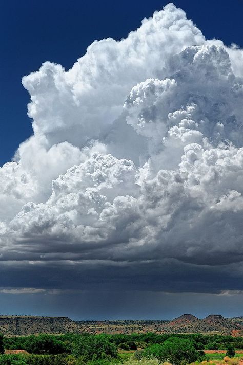 I love NM clouds! Clouds Photography, Land Of Enchantment, Cloud Painting, Storm Clouds, Sky And Clouds, Natural Phenomena, Beautiful Sky, Tornado, Amazing Nature