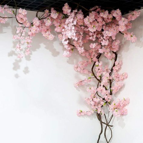 Blossom Tree Wedding, Deco Champetre, Hanging Vines, Cherry Blossom Flowers, Blossom Tree, Cherry Blossom Tree, Deco Floral, Wedding Background, Tree Wedding