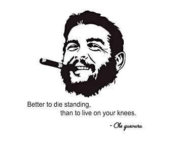 Che Quevara, Muhammad Ali Wallpaper, Revolution Quotes, Che Guevara Photos, Che Guevara Quotes, Che Guevara Art, Strong Motivational Quotes, Words To Live By Quotes, Funny Artwork