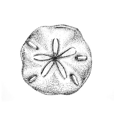 Sand dollars are mermaid coins. 🧜‍♀️🐚🧜‍♀️🐚🧜‍♀️ . I love stippling! Contact me for a hand drawn illustration. JensCreativeDesigns.com . . .… Vacation Tattoos, Sand Dollar Tattoo, Ocean Theme Tattoos, Dots Illustration, Shark Tooth Tattoo, Dollar Tattoo, Ocean Sleeve, Beachy Tattoos, Teeth Drawing