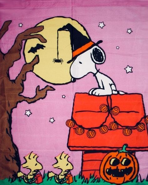 Snoopy & Woodstock Halloween 🎃 Helloween Wallpaper, Snoopy Dog, Charlie Brown Halloween, Peanuts Halloween, Snoopy Halloween, Snoopy Images, Peanuts Cartoon, Snoopy Wallpaper, The Boogeyman