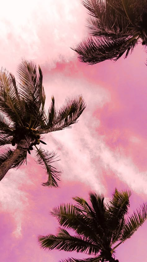 Palm Trees Wallpaper, Trees Wallpaper, Pretty Backgrounds, Ocean Wallpaper, Picture Collage Wall, Sunset Wallpaper, Pretty Sky, Beautiful Nature Wallpaper, Summer Wallpaper