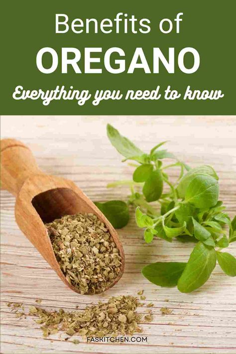 A visually appealing pin featuring Oregano 101: Nutrition, Benefits, How To Use, Buy, Store. A guide to maximize the use of this versatile herb in your culinary journey. #Oregano #Herbs #HealthyLiving Oregano Tea Benefits, Benefits Of Oregano, Pizza Spices, Onion Benefits Health, Growing Oregano, Dandelion Benefits, Hands Of Time, Chia Seeds Benefits, Spaghetti Dinner