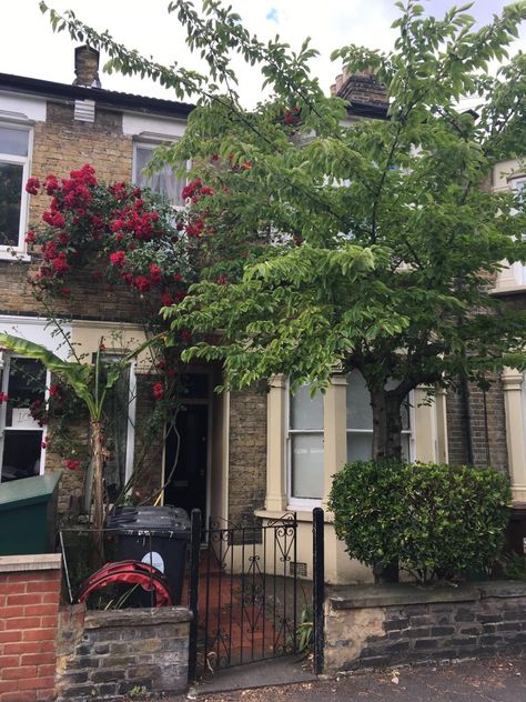 Front garden inspiration (from a nutter) for our East London terrace house – The Awkward Gardener Curb Appeal Townhouse, Terraced Front Garden, London Front Garden, Small Terrace House Front Garden, Terrace Front Garden, Front Garden Inspiration, Terrace House Front Garden, Small Front Garden Ideas Uk, Terraced House Front Garden