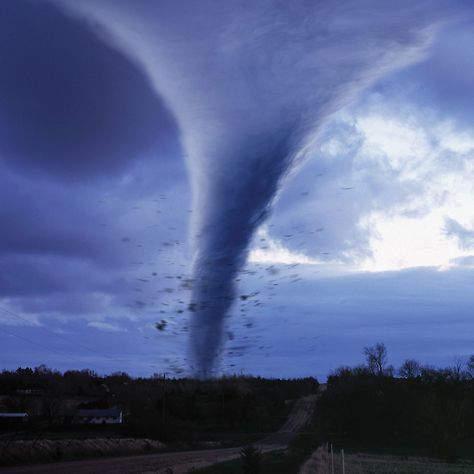 11 Tips Sure to Help You Survive a Tornado Lisa Gerrard, Tornado Pictures, Earth Science Lessons, Tornado Alley, Tornado Warning, Storm Shelter, Safe Room, Flood Zone, Homeowners Insurance