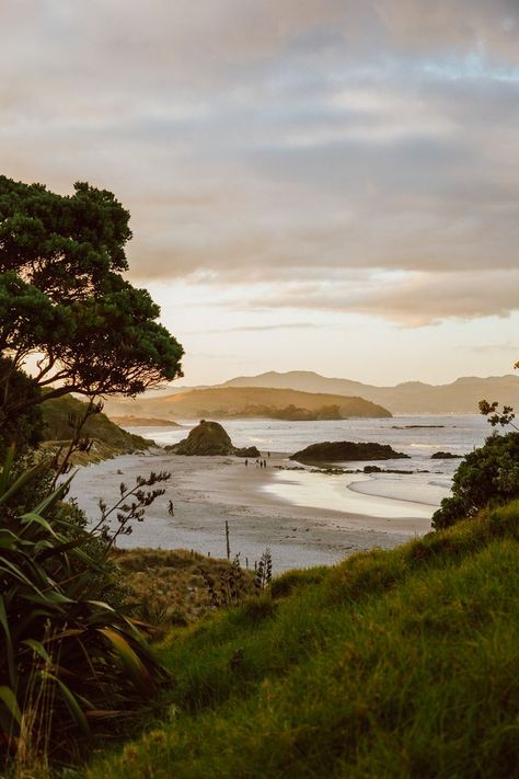 . Landscape New Zealand, Nz Landscape Photography, Aotearoa New Zealand, New Zealand Travel Photography, New Zealand Landscape Painting, New Zealand Landscape Photography, New Zealand Beaches, New Zealand Life, New Zealand Aesthetic