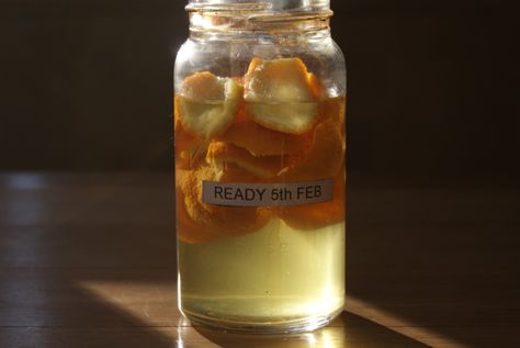 Love Your Leftovers - Citrus. Peelings, Pith & Pips | Thrifty Lesley Lemon Pith Uses, Homestead Food, Whole Orange Cake, Dried Orange Peel, Lemon Syrup, Orange Peels, Candied Orange Peel, Preserved Lemons, Dried Oranges