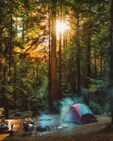 Ventana Campground is a gem in Big Sur & is located right next to legendary Ventana luxury resort. See photos of the campground to help you pick the best Big Sur Camping, Camping California, Camping Bedarf, Ideas Illustration, Camping Inspiration, Camp Site, Camping Photography, Camping Aesthetic, Camping Destinations